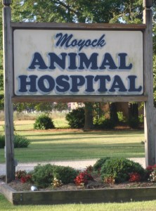 Moyock Animal Hospital Sign