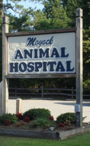 Moyock Animal Hospital Sign