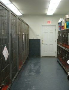 The kennel